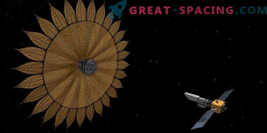 Cum o floarea soarelui uriașă va ajuta să vezi civilizațiile extraterestre