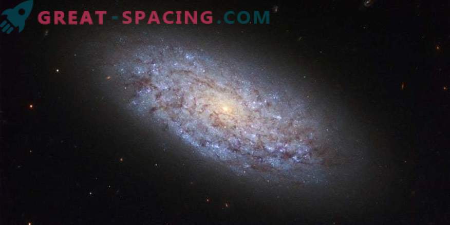 A fost aprobată cea mai veche galaxie spirală