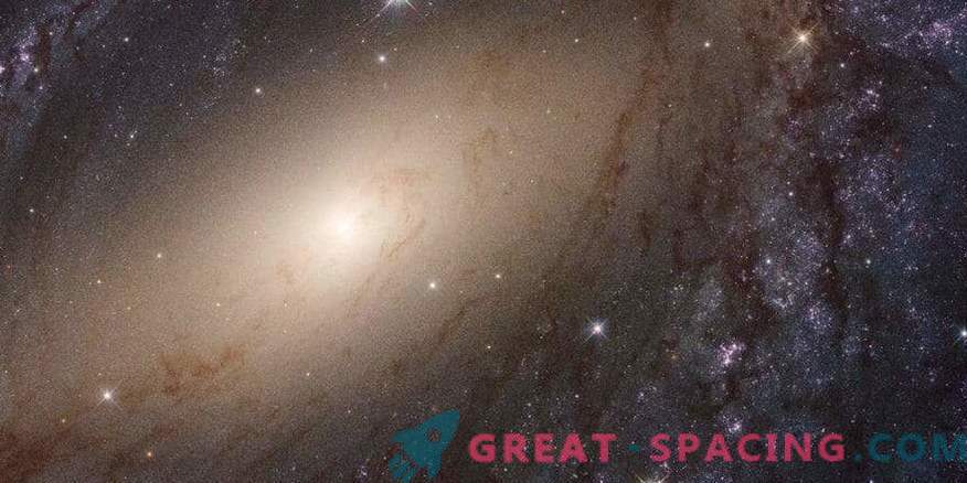 Oamenii de știință au lansat o revizuire completă a luminii UV a galaxiilor din apropiere