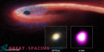 O gaură neagră supermazică rupe o stea nefericită