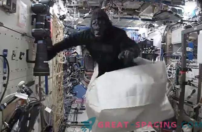 Astronauts joks ar pērtiķu kostīmu kosmosa stacijā