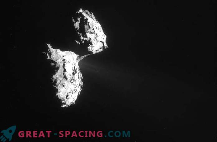 Rosetonul captează fluxurile de gaze care scapă de o cometă