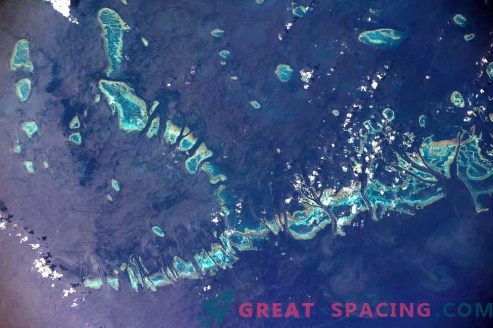 Un astronaut european a făcut fotografii uimitoare ale frumoasei planete.