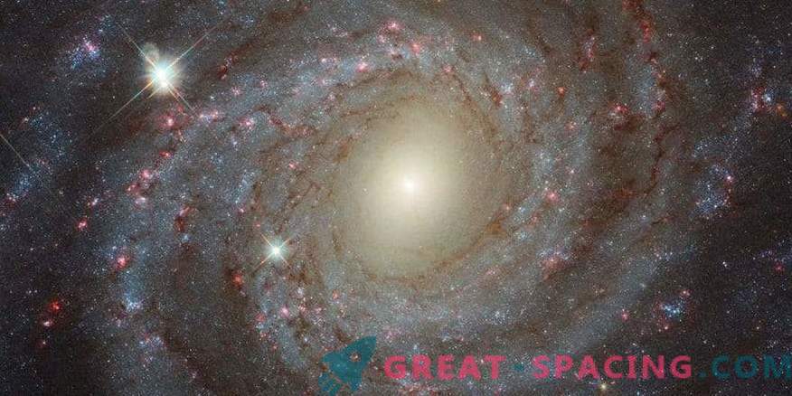 Frumusețea singuratică NGC 3344