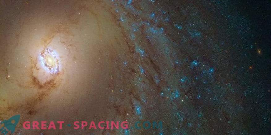 Inelele uimitoare ale galaxiei M 95