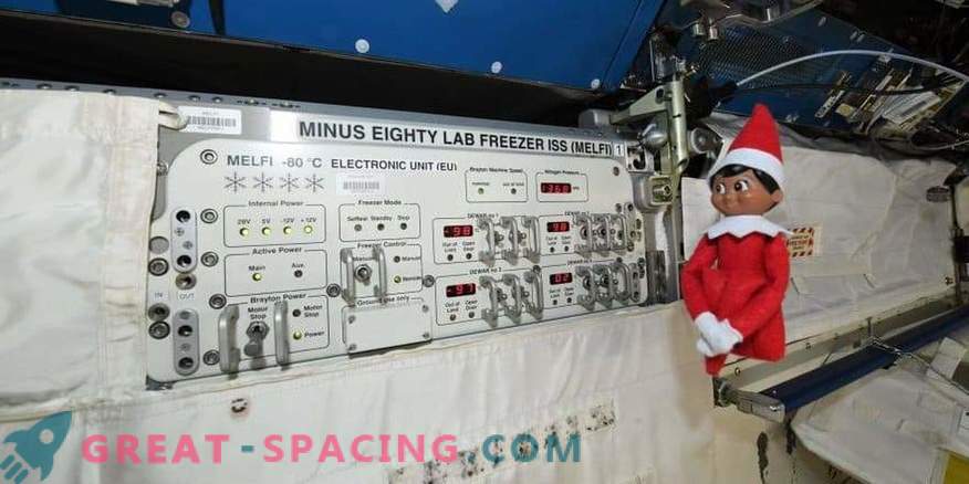 Elf pe stația spațială internațională