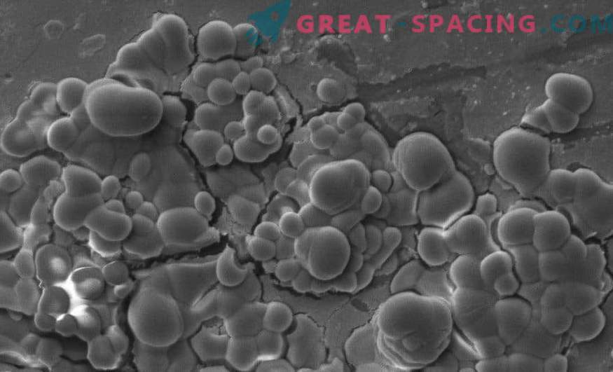Imprimante ale microbilor pe roci marțiene