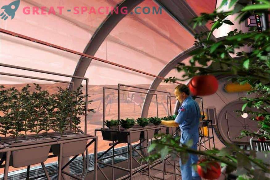 NASA va trimite plante pe Marte?