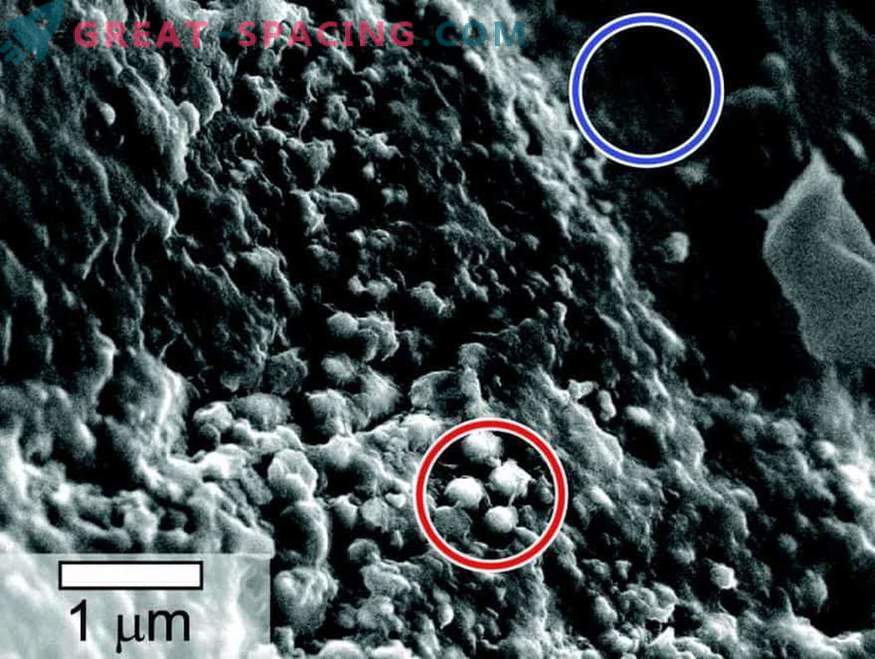 Viața poate fi găsită în eșantioane de meteorit marțian.